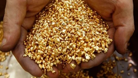 gold best company