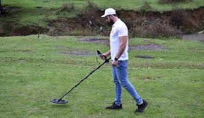 gold & metal detector